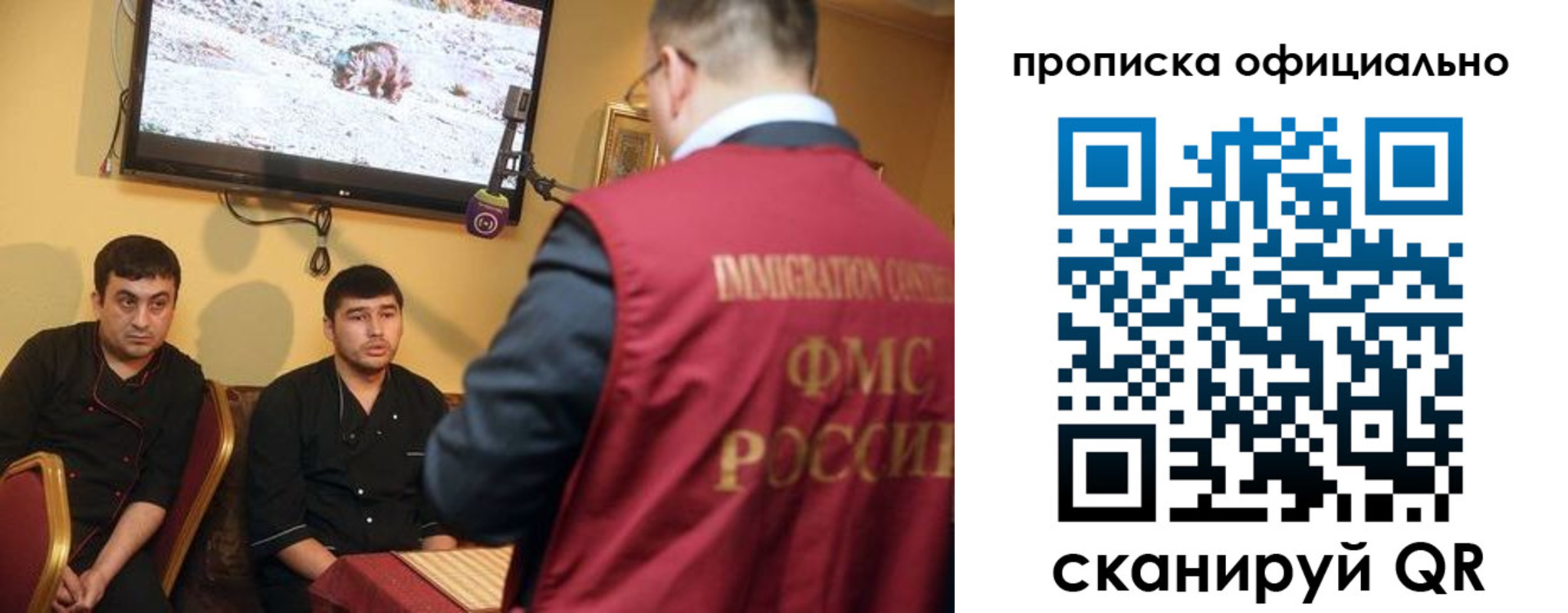 где прописаться в Кольчугино